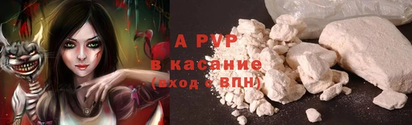 spice Алзамай