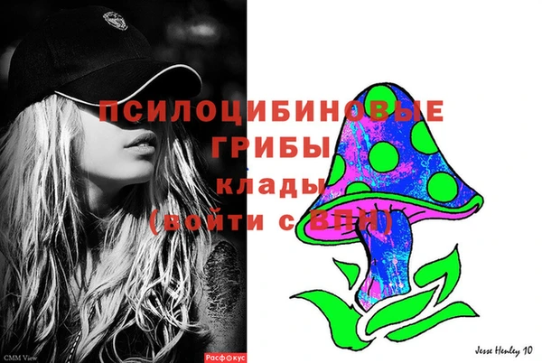 spice Алзамай