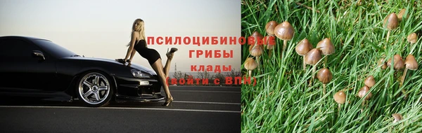 spice Алзамай