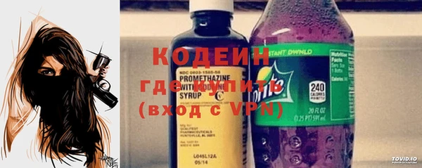 индика Зеленокумск